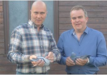 Luc Van Mechelen -  “Der beste Mittelstreckenspieler Belgiens“...