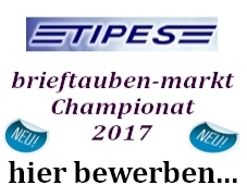 TIPES brieftauben-markt Championat 2017 - bewerben bis zum 1. Oktober 2017...