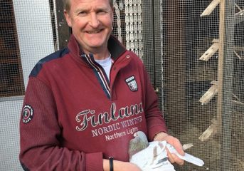 Hartmut Will aus Gladenbach - der „864“ – ein Vererber der Superlative...