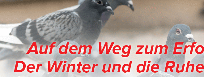 Auf dem Weg zum Erfolg ! Der Winter und die Ruhezeit.