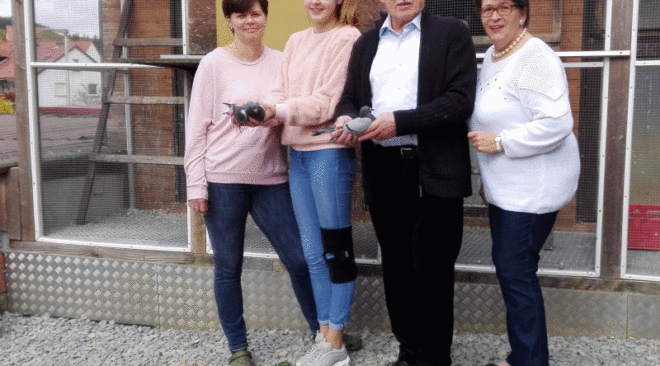 SG AUGSBURGER - Traumergebnis im 50. Jahr der Verbandszugehörigkeit...