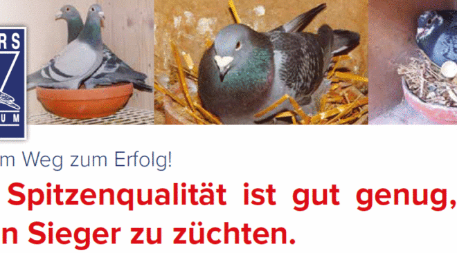 Nur Spitzenqualität ist gut genug, um einen Sieger zu züchten...