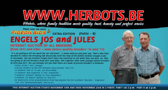 PIGEON BIDS EXTRA EDITION ENGELS JOS & JULES...