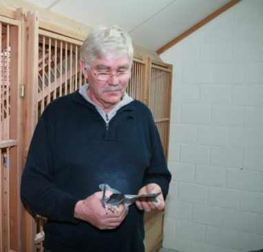 Ina und Reinhard Muhl - Mit neuen Tauben zu Spitzenleistungen...