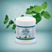ROPA-B BOOSTER 'ALL IN ONE' PROBIOTIC & PREBIOTIC