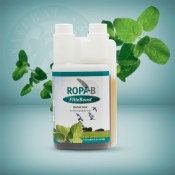 ROPA-B FLITEBOOST 500ML