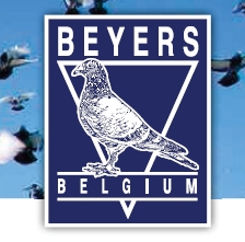 Auf dem Weg zum Erfolg!  Die Vorbereitung auf die Reisesaison...