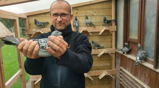 Martin de Poorter - Enkel des “Rainman” 1. National St. Vincent gegen 3.162 Tauben...