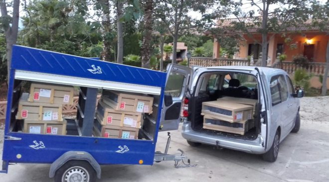 MALLORCA DERBY2018 – Erster Transport von Derbytauben abgeschlossen…