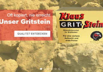 KLAUS grit stone - often imitated but never duplicated errreicht ...