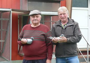Toller Flugverlauf ab Osterhofen mit 22.965 Tauben...