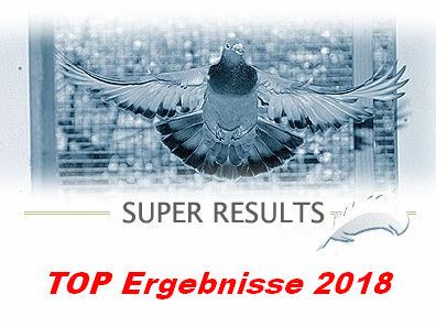 TOP Ergebnisse Wochenende 07.07./08.07. 2018...
