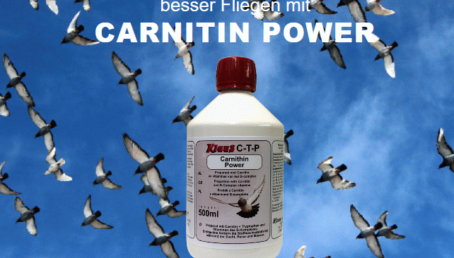 Produkt der Woche - KLAUS C-T-P Carnitin Power...
