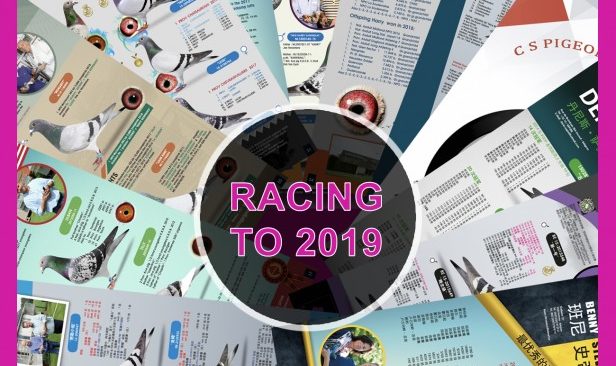 Invitation to participate in "Racing to 2019" ...