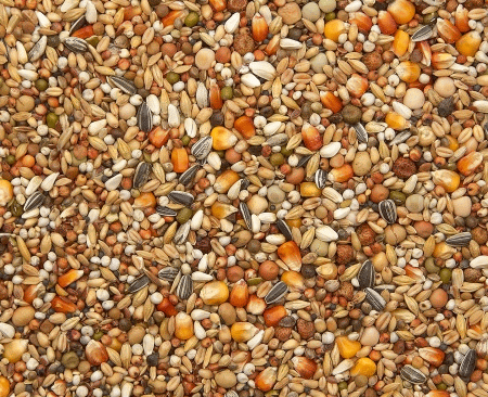 Von VANROBAEYS empfohlen - Mauser Exclusiv Nr. 42...