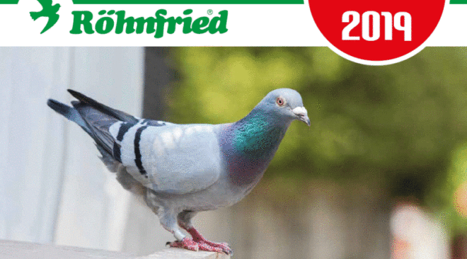 TOP topics - the new Röhnfried Courier 2019 ...