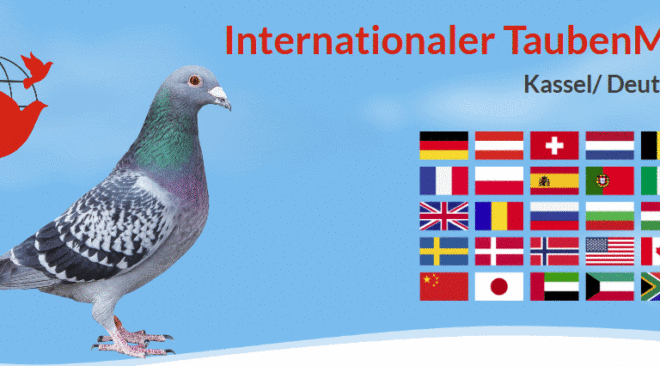 29. Internationalen TaubenMarkt 2018 - In Kassel trifft sich die Taubenwelt...