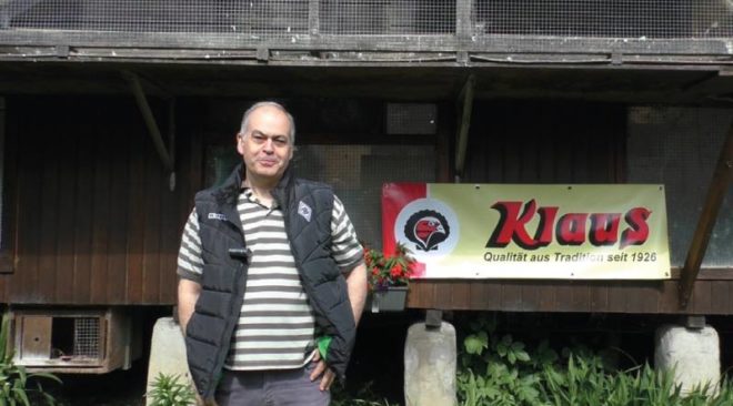 KLAUS Profiliga 2018 - SG Fernandes...