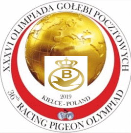 OLYMPIADE 2019 - hier die vorläufigen belgischen Olympiade-Tauben...