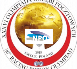 OLYMPIADE 2019 – hier die vorläufigen niederländischen Olympiade-Tauben…