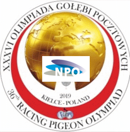 OLYMPIADE 2019 – hier die vorläufigen niederländischen Olympiade-Tauben…