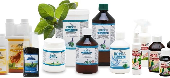 BLACK FRIDAY bei RopaStore...