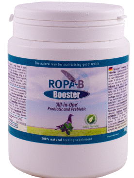 Produkt der Woche - ROPA-B Booster...
