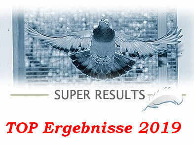 TOP Ergebnisse 2019...