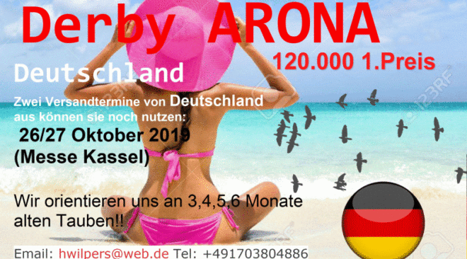 DERBY ARONA Tenerife - letzter Versandtermin am 26./27. Oktober 2019 in Kassel...