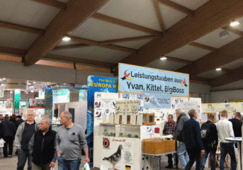 Impressions International Taubenmarkt in Kassel in 2019 ...