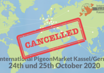 No international pigeon market in Kassel in 2020 ...