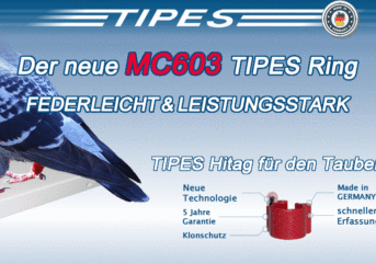 Das ORIGINAL - MC603 Tipes Ring für die Jungtierreise 2026...