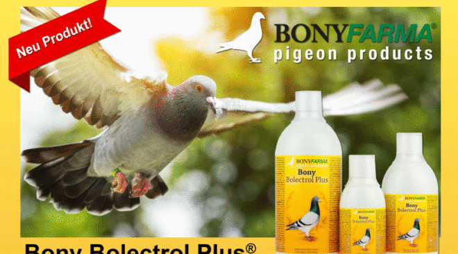 TOP Produkt !!! - Bony Bolectrol Plus...