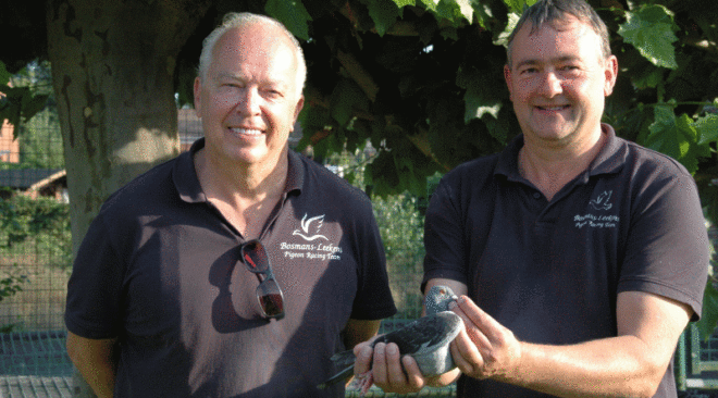 Bosmans-Leekens – 1. National gegen 15.322 Jungtauben ab Chateauroux 2020...