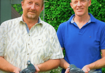 Pau International 2021...