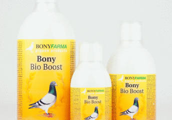 Astuce de la semaine - Bony Bio Boost...