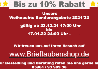 Brieftaubenshop Sonderangebote zu Weihnachten...