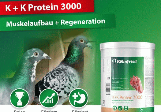 K+K Protein® 3000 - suporta a regeneração