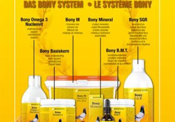 Das Bony System - eine Garantie für gesunde Tauben...