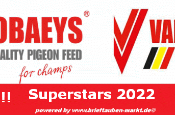 Memory !!! VANROBAEYS Superstars 2022 – apply now – it’s a matter of deadlines !!!…