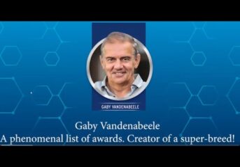 GABY VANDENABEELE - A PHENOMENAL LIST OF AWARDS AND CREATOR OF A SUPERBREED!