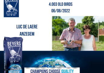 Luc de Laere Anzegem: 1º Nacional Chateauroux 4.003 aves velhas - candidato 1º Nat. AS pombo KBDB longa distância média 2022...