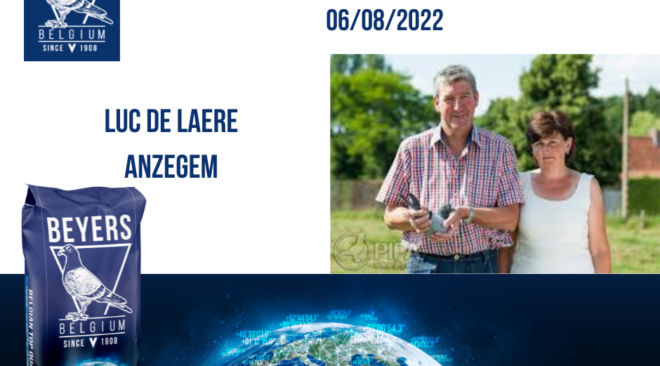 Luc de Laere Anzegem: 1. National Chateauroux 4.003 alte Tauben - Kandidat 1. Nat. AS Taube KBDB grosse Mittelstrecke 2022...