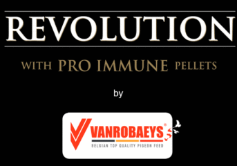 VANROBAEYS Revolution - NEW for the 2023 season !!!