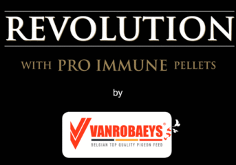 VANROBAEYS Revolution - Top for the 2024 season!!!