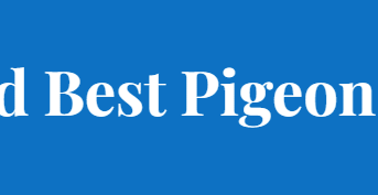 FCI World Best Pigeon Résultats 2022...