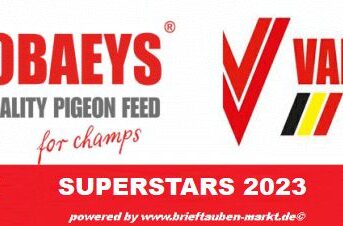 Classificação final VANROBAEYS Superstars 2023...