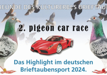 2. PIGEON CAR RACE 2024...