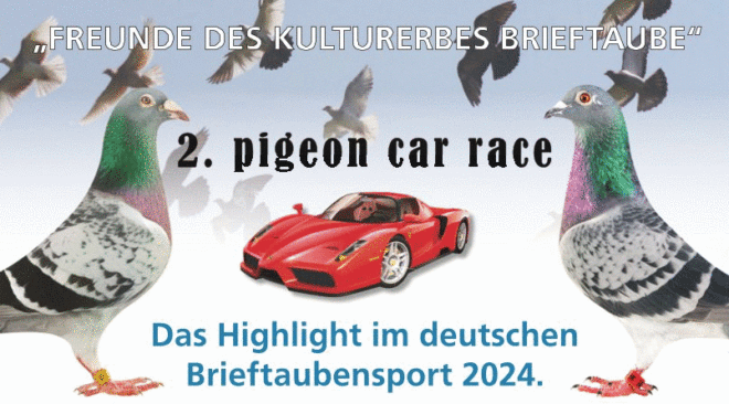 2. PIGEON CAR RACE 2024...