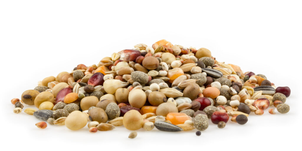 mifuma-brieftaubenfutter-zucht-und-mauser-premium